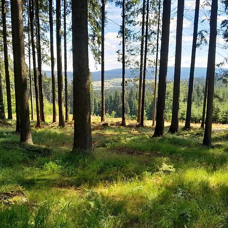 Apartamenty Pod Jagodna Spalona Buitenkant foto